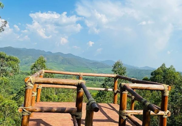 IHV viewing platform