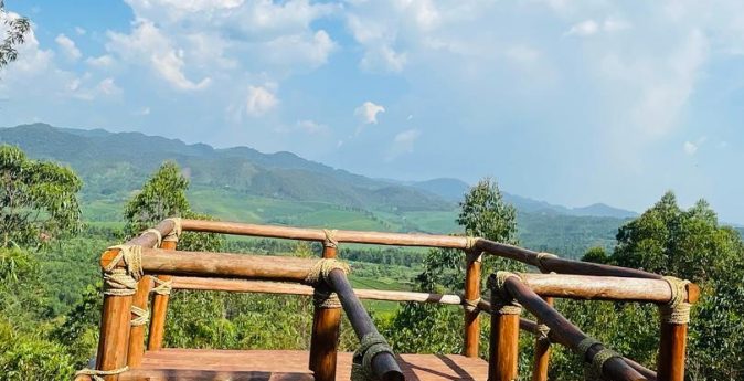 IHV viewing platform